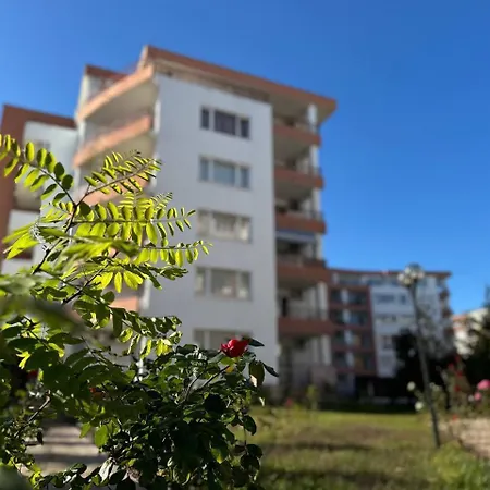 Riviera Apartment *